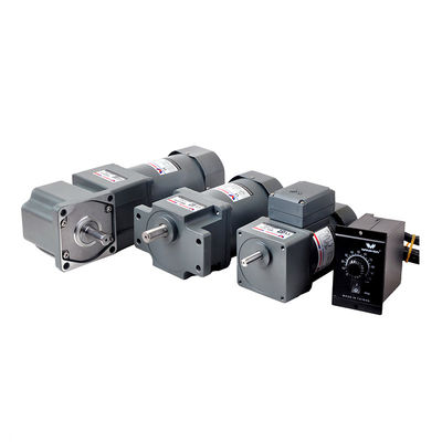 Katı Mil 60Hz 60 RPM Dişli Motor Düşük RPM Motor 220V